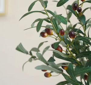 Faux Olive Branches