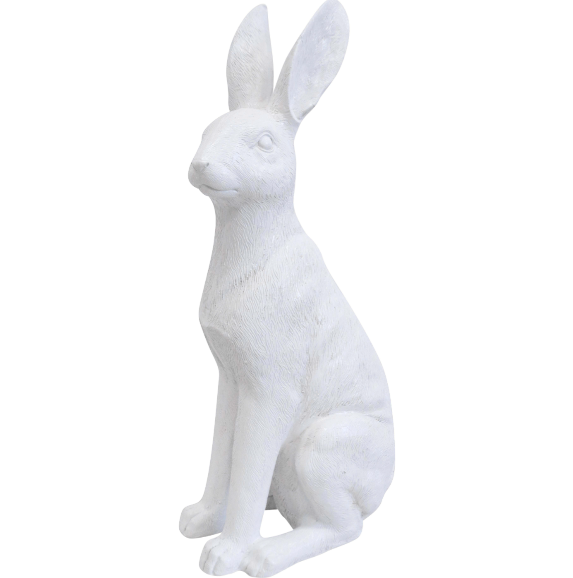 Large Sitting Hare
