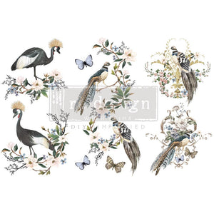 Redesign by Prima Transfer - Rare Birds