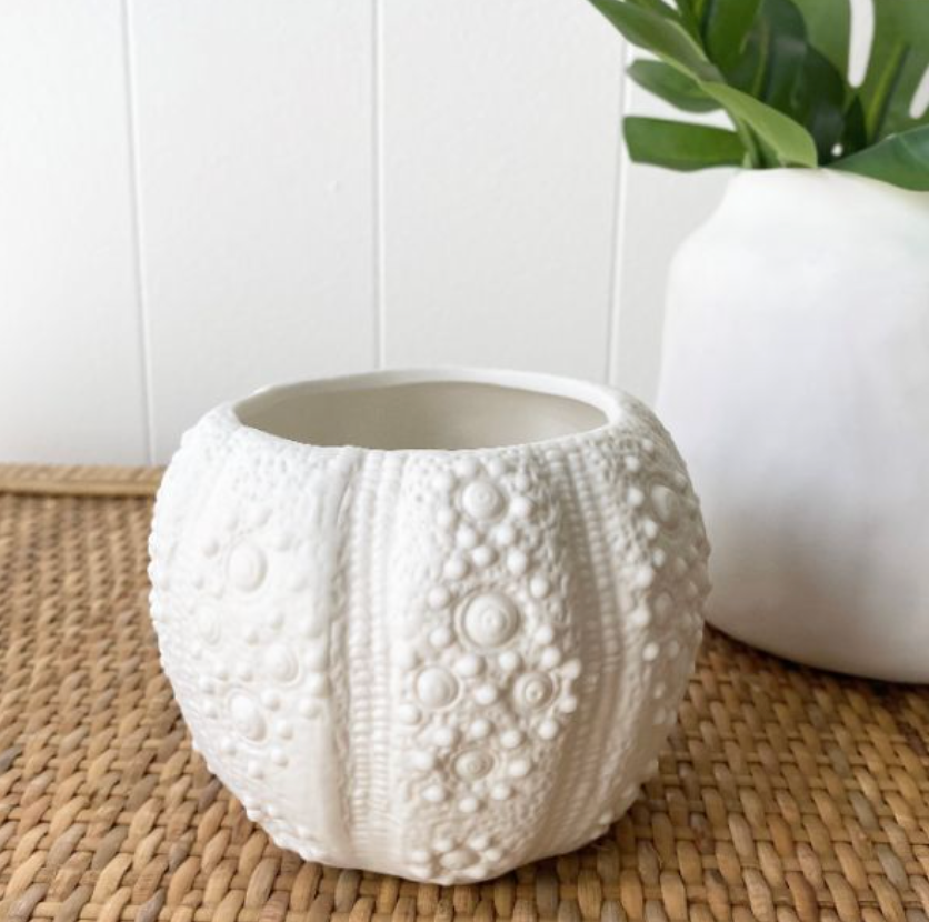 Mode Urchin Vase