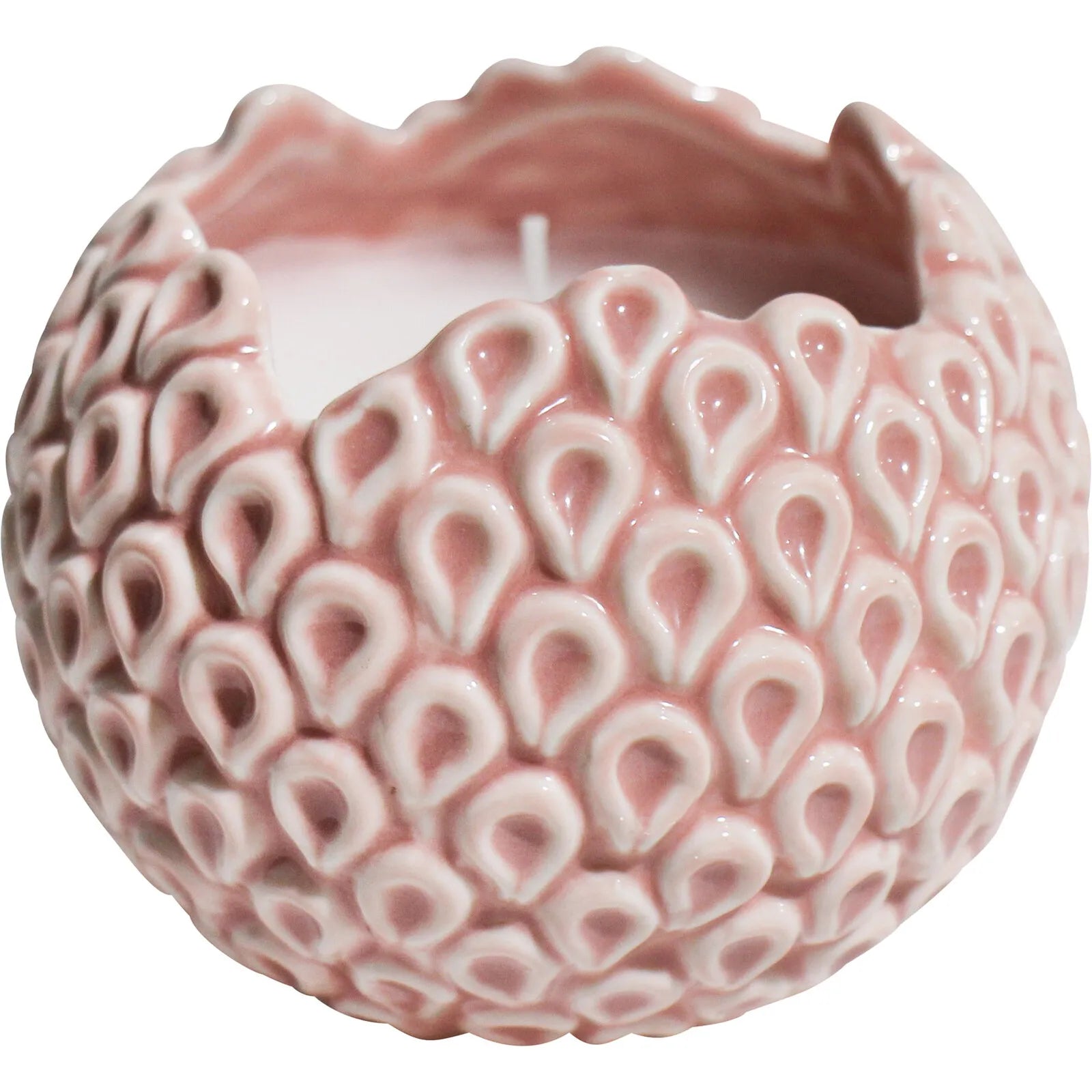 Barnacle Candle - Seafoam or Rose